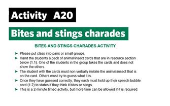 KS2-A20-Bites and stings-charades