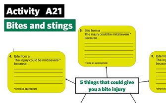 KS2-A21-5 things that bite