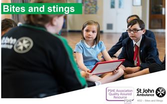 KS2 Bites and Stings KS2 Bites and Stings