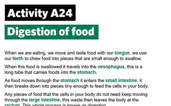 KS2-A24-Digestive process
