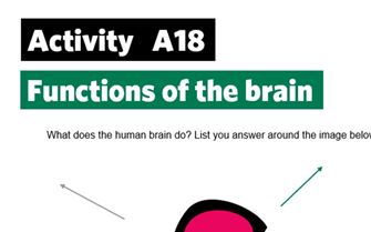 KS2-A18-functions of the brain