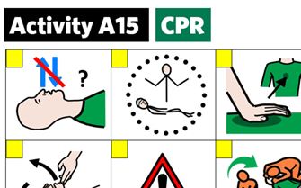 KS3-A15-CPR sorting