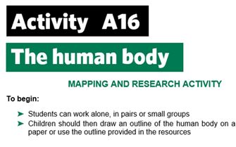 KS3-A16-The human body-teacher
