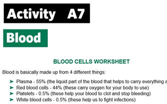 KS3-A7-Maths piechart