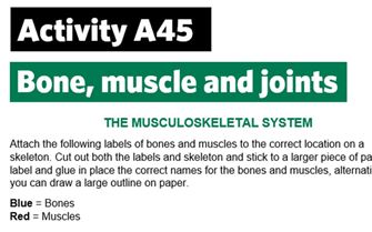 KS4-A45-Label the musculoskeletal system
