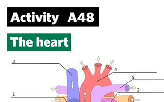 KS4-A48-Answer sheet