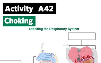 KS4-A42-Label the respiratory system